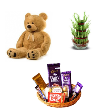 Teddy, Chocolate Set and Lucky Plant – India