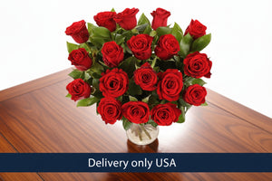 One & half dozen Red Roses | USA