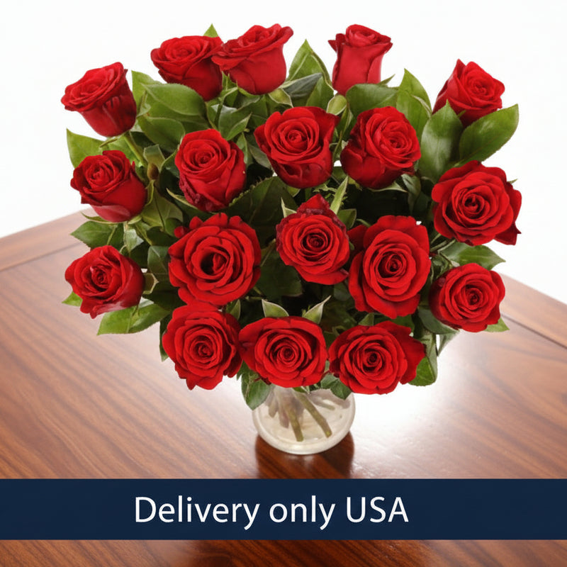 One & half dozen Red Roses | USA