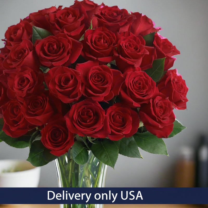 Luxury Two Dozen Roses - USA