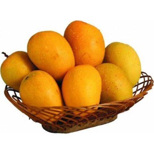 Basket of Mangoes