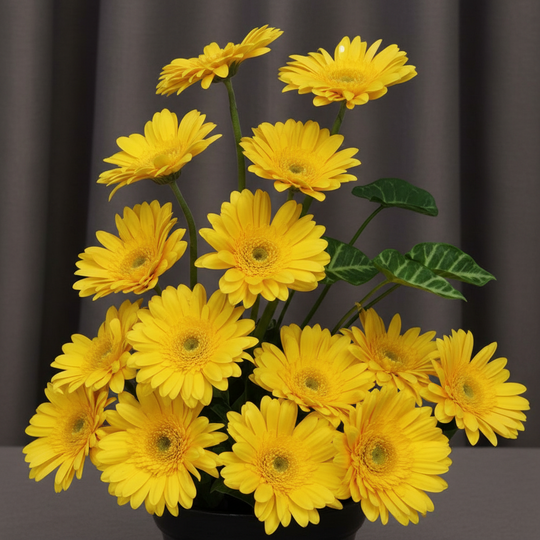 Yellow gerbera bouquet