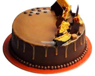 Fudgy Chocolate Cake — golden drip finish with dark side panels and topping shards; India