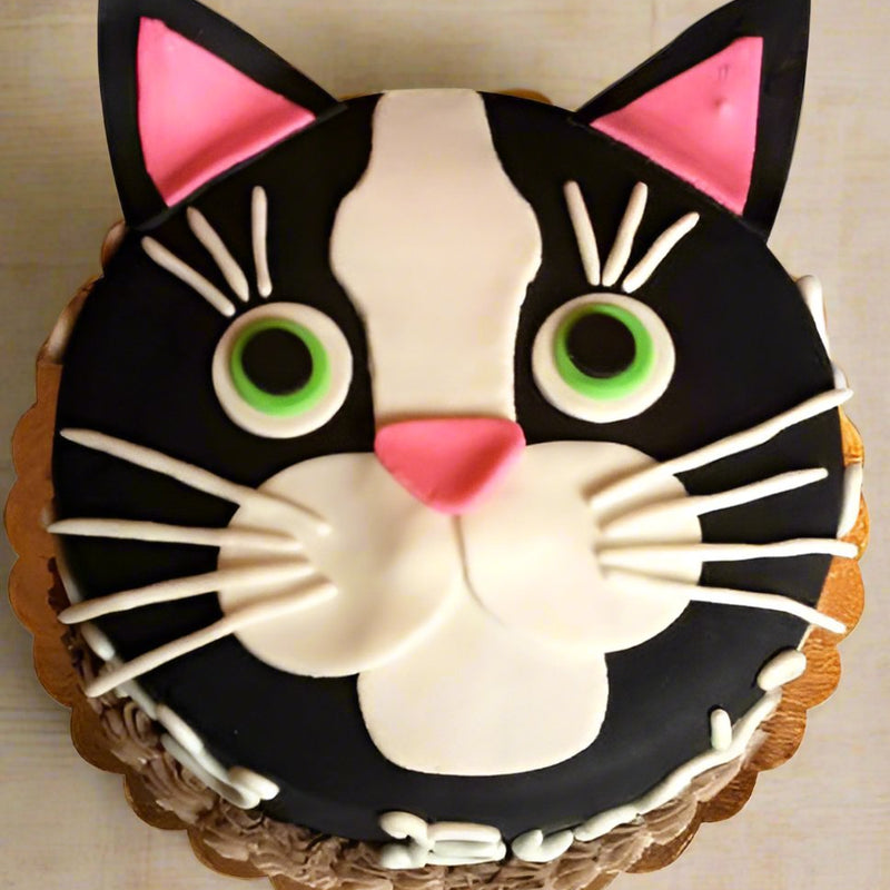 Order Cat Cake Online in India | Send Cakes for Kids' Birthdays