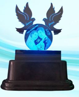 LED Circle with Bird