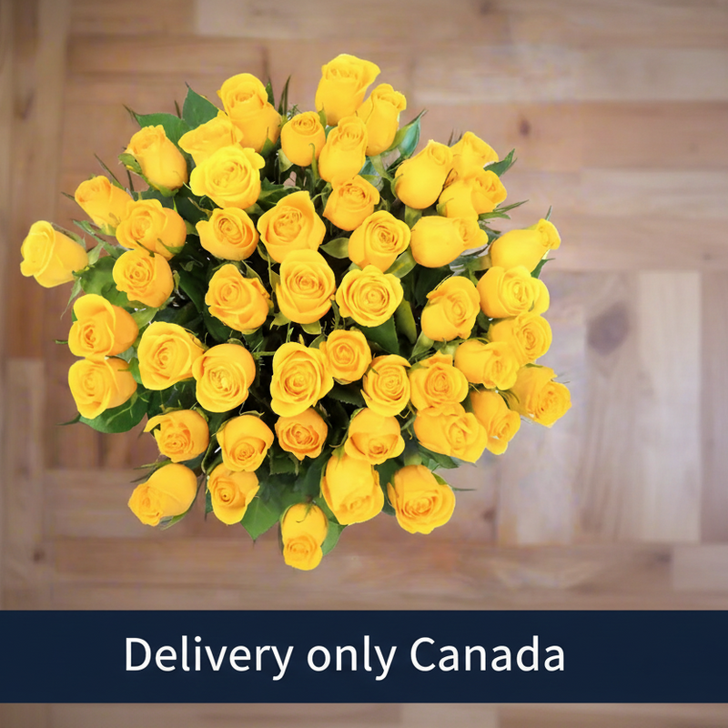 Rose Bouquet - 24 Yellow Roses - Canada