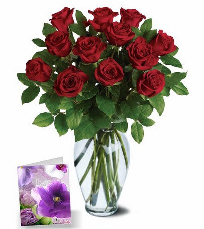 Beautiful One Dozen Roses - Australia