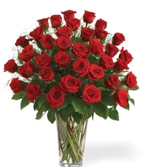 Beautiful 30 LONG STEM roses - Australia