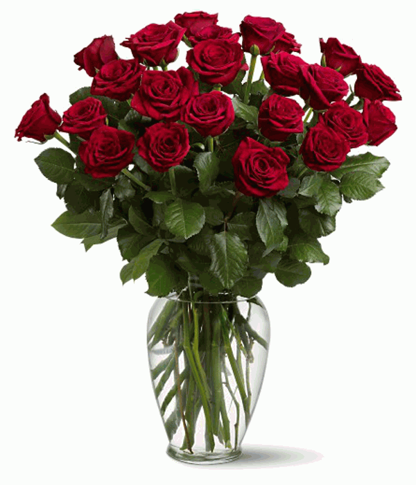 Red Roses bunch 20