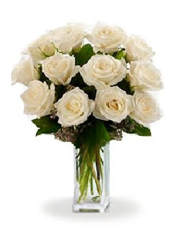 White Roses Beauty - Australia