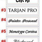 Voilet Color theme Passport Holder