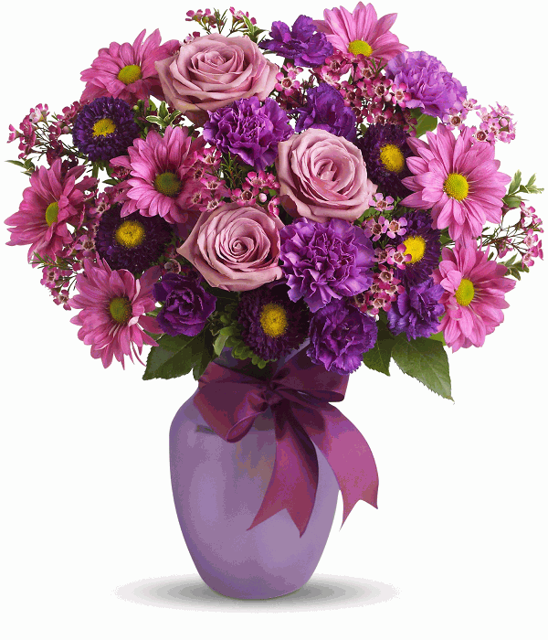Purple Flora - Australia