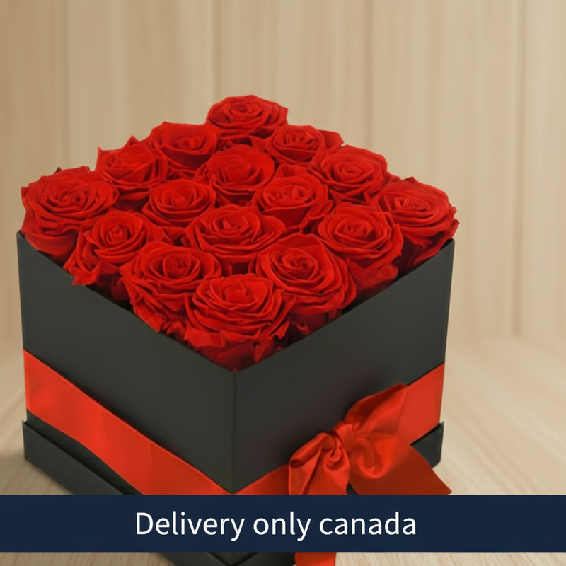 Red Roses In a Box - Canada