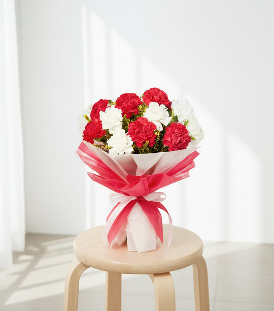 Red and White Carnations – India