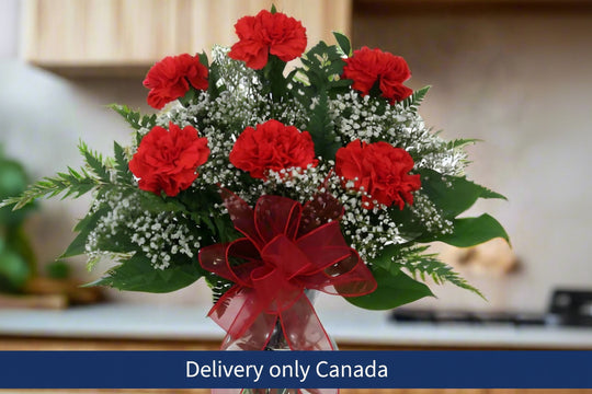 Half Dozen Red Carnations – delivery in Canada
