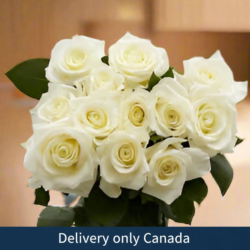 Roses Bouquet - White - Canada
