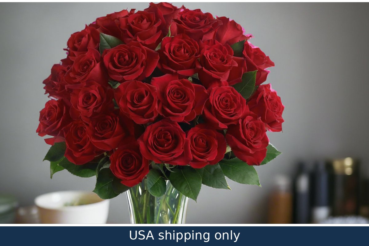 Luxury Two Dozen Roses – delivery in USA