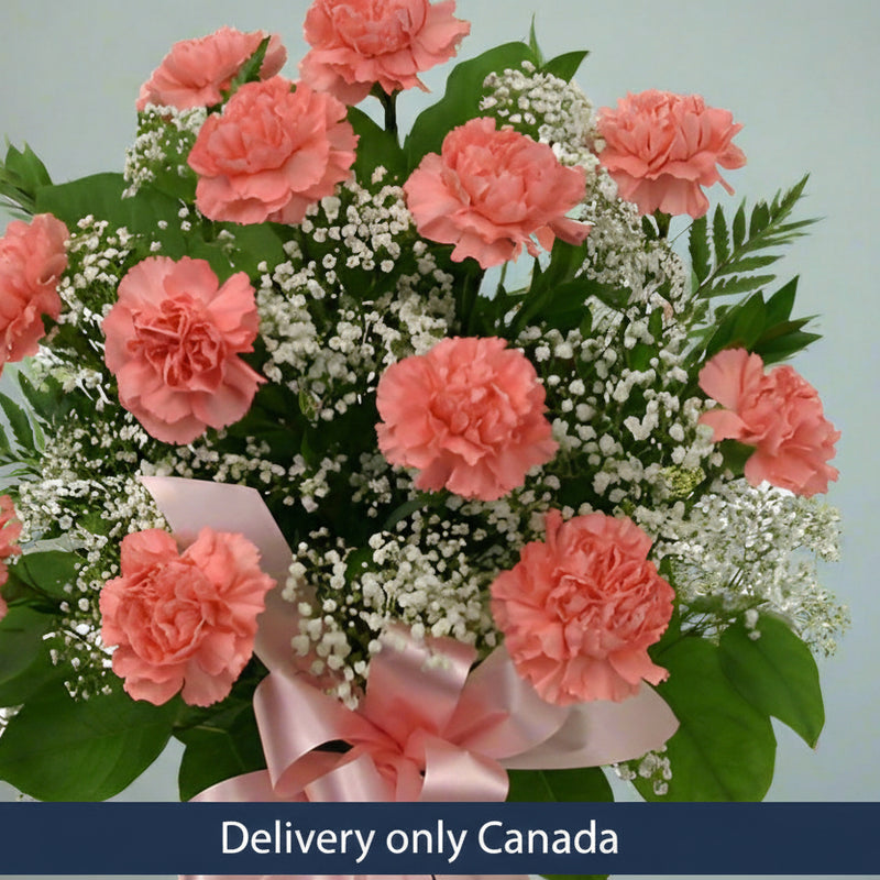 Pink Carnations with Daisies  - Canada