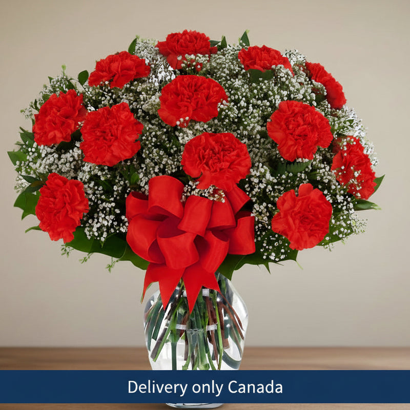 Red Carnations with Daisies - Canada