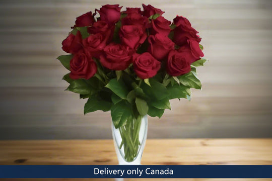 One Dozen Red Roses – delivery in Canada