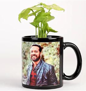 Personalized Mug with Plant - India