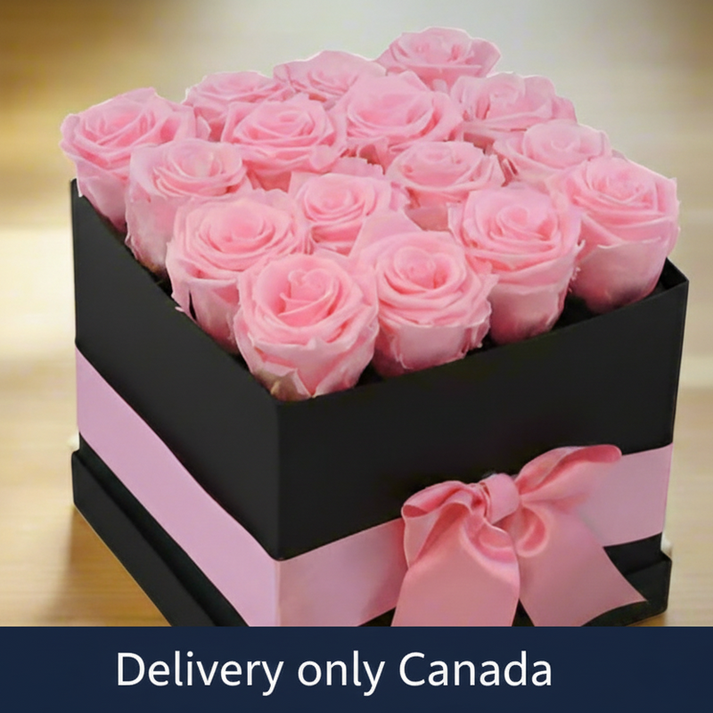 Gift of Roses Pink - Canada