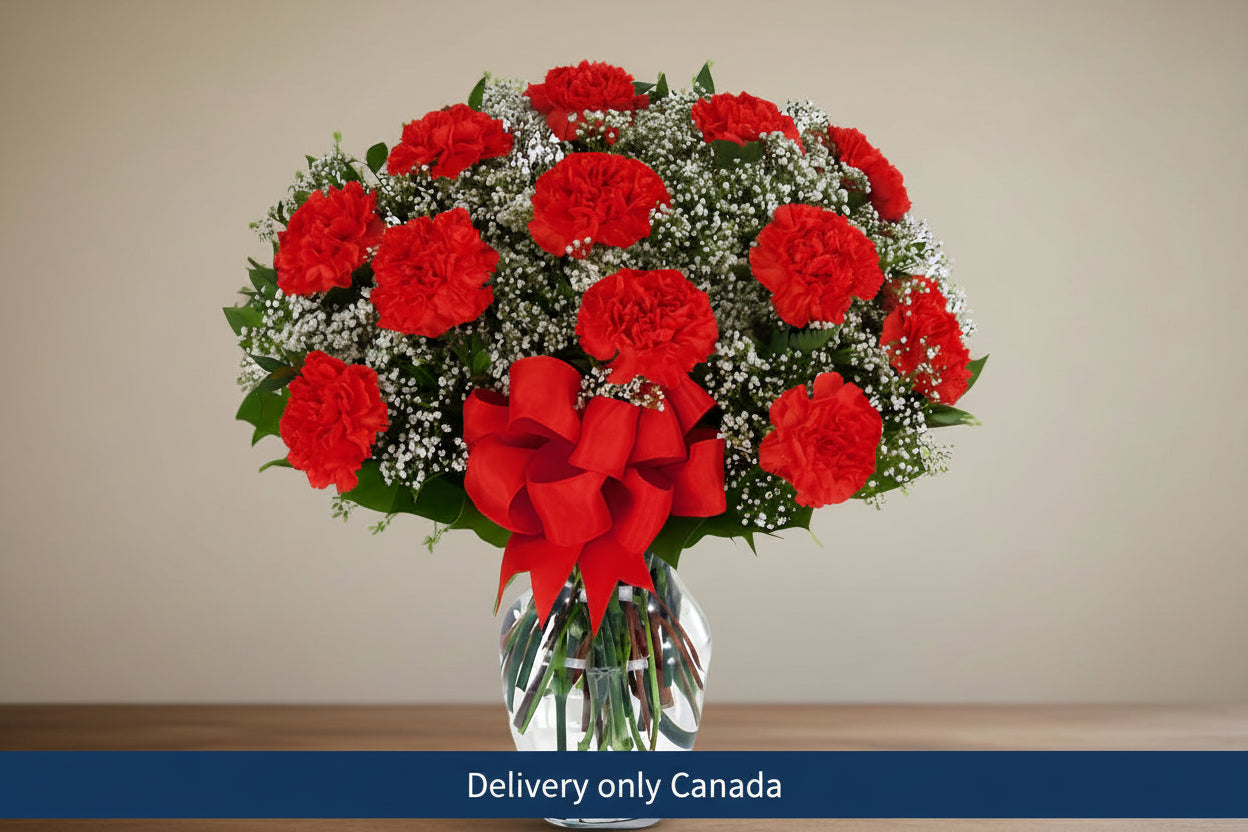 Red Carnations with Daisies – delivery in Canada