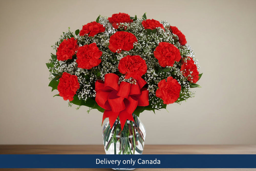 Red Carnations with Daisies – delivery in Canada