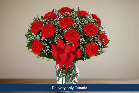 Red Carnations with Daisies – delivery in Canada