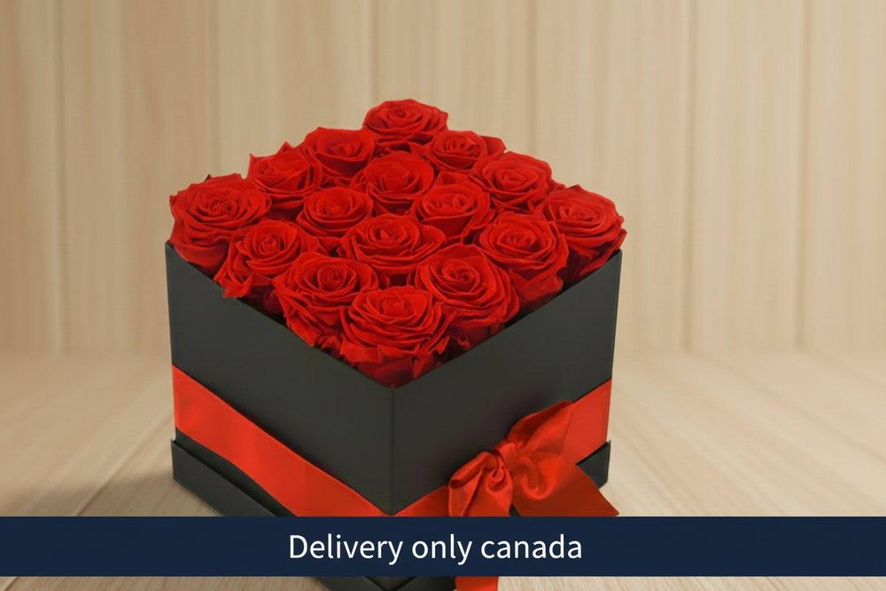 Red Roses In a Box – delivery in Canada