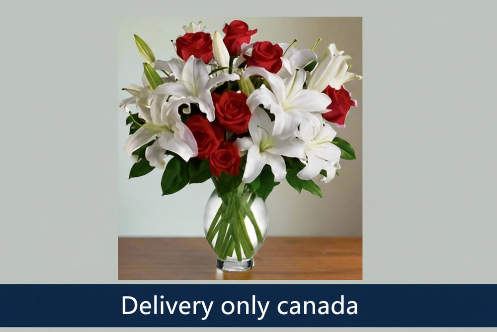 Red Roses love with White Lilies – delivery in Canada