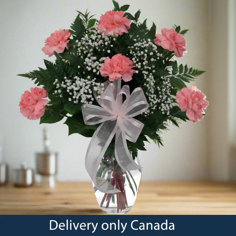 Pink Carnations Vase for Birthday in Canada