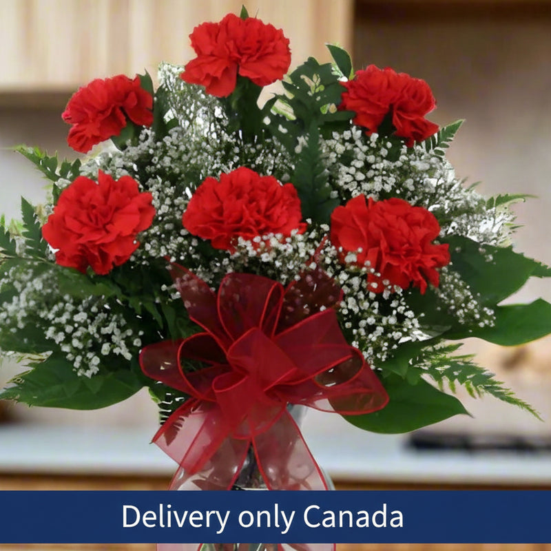 Half Dozen Red Carnations - Canada