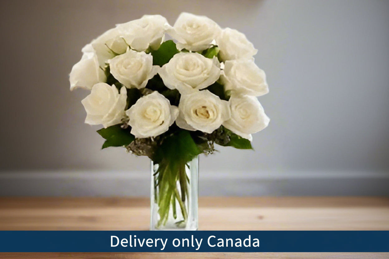 White Roses delivery in Calgary